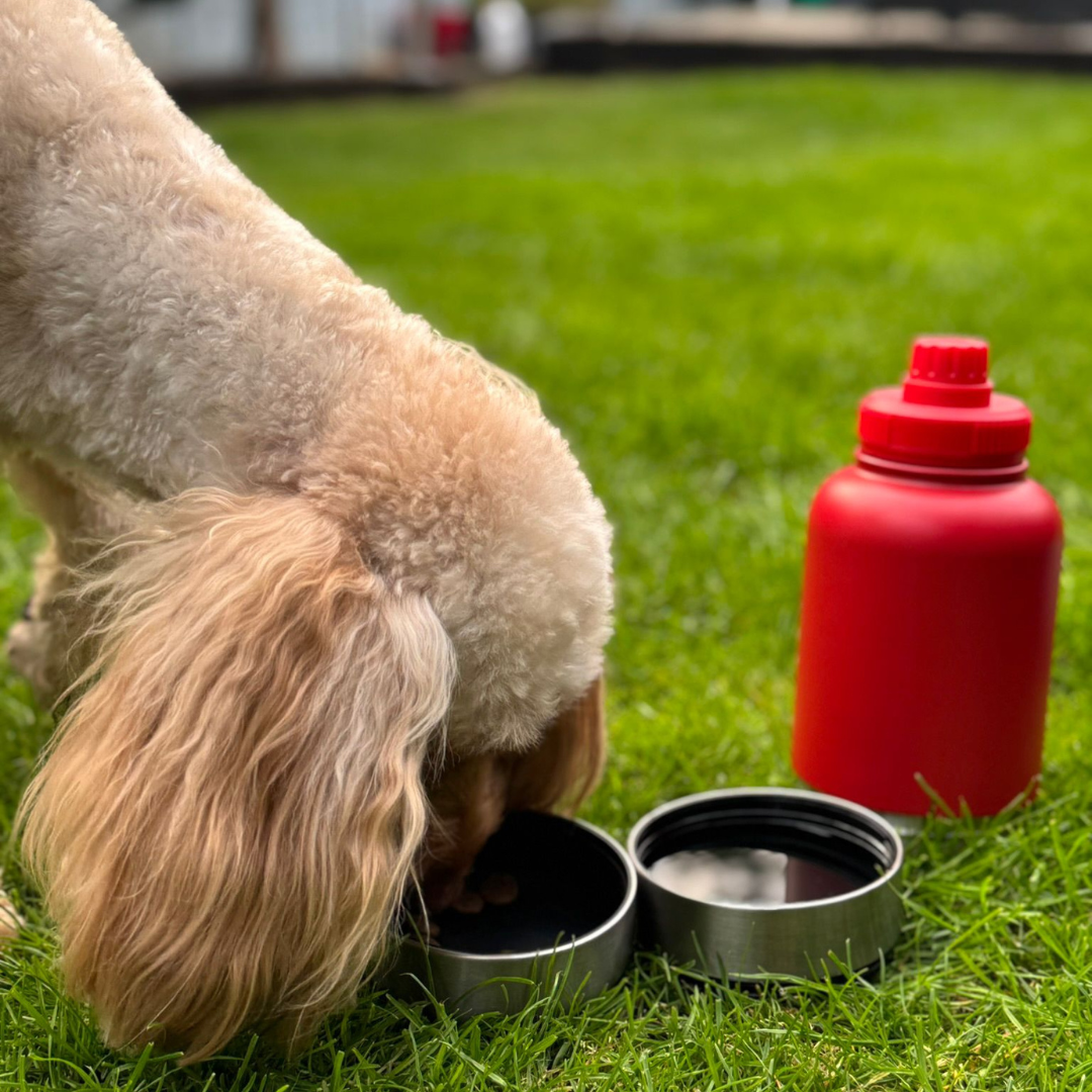 Pawré™ All-in-one bottle